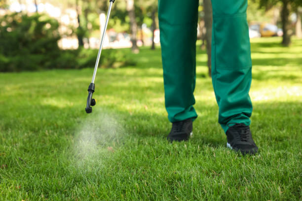 Best Wasp Removal Services  in Kelseyville, CA