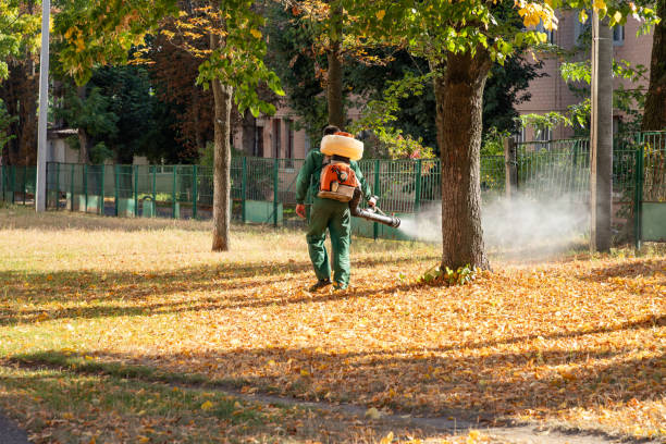 Best Pest Prevention Services  in Kelseyville, CA